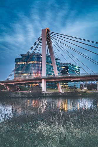 Ottergembrug mit Gebäude im Hintergrund in Gent