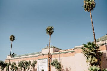 Les palmiers du Maroc sur Yaira Bernabela
