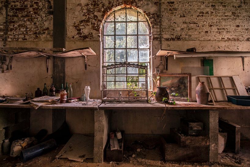 Birdcage by Vivian Teuns