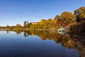 Goldener Herbst am Forggensee im Allgäu
