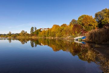 Un automne doré au bord du lac Forggensee sur Christina Bauer Photos
