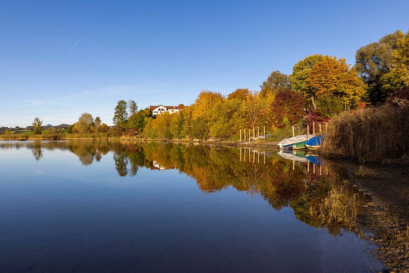 Golden autumn at the Forggensee by Christina Bauer Photos