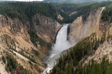 Lower Falls, Yellowstone National Park, USA by Jeroen van Deel