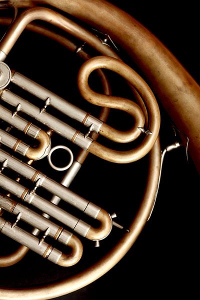 French Horn by Thomas Jäger