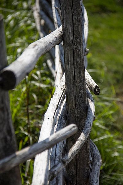 Fence by Vione van Leeuwen