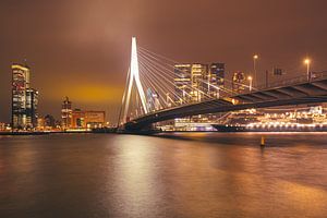 Erasmusbrücke und MS Rotterdam von Ronne Vinkx