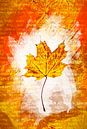 Autumn leaves Yellow by Sharon Harthoorn thumbnail