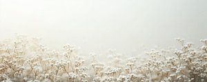Trockene Blumen