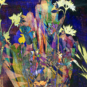 flowers - Schattenspiel