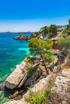 Kustlandschap Middellandse Zee Eiland Mallorca, Spanje van Alex Winter