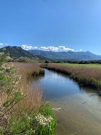 Lozari Fluss Korsika von LaLuna ART