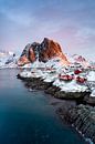 Hamnoy Winter - Îles Lofoten par Martijn Kort Aperçu