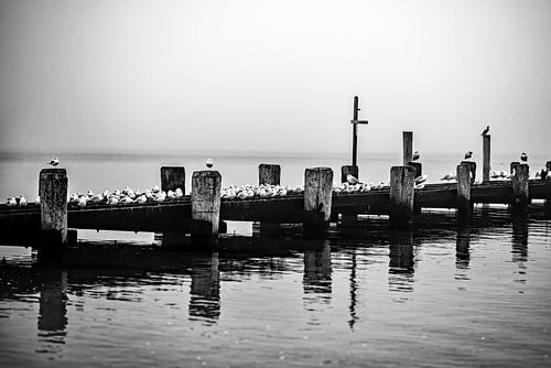Le temps hivernal à la mer