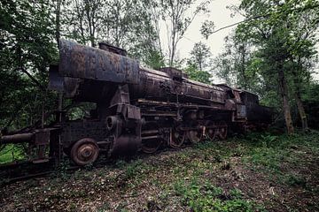 Een oude verroeste trein van Steven Dijkshoorn