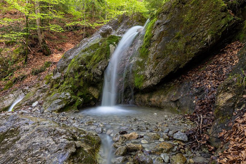 Kleiner Wasserfall im Wald von Teresa Bauer