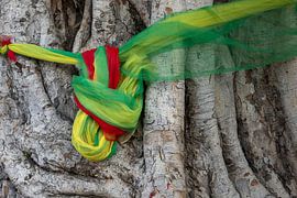 Fluttering prayers in the roots of time by Walter G. Allgöwer