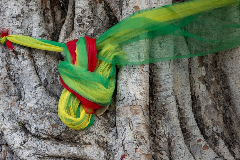 Flatternde Gebete im Wurzelgeflecht der Zeit von Walter G. Allgöwer