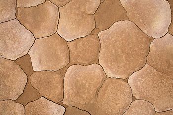 De grond in Deathvlei in Namibië