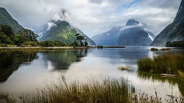 Milford sound like a painting