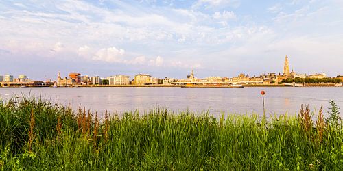 Skyline van Antwerpen in België