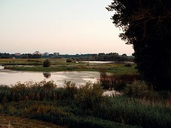 Ooijpolder bij avondlicht