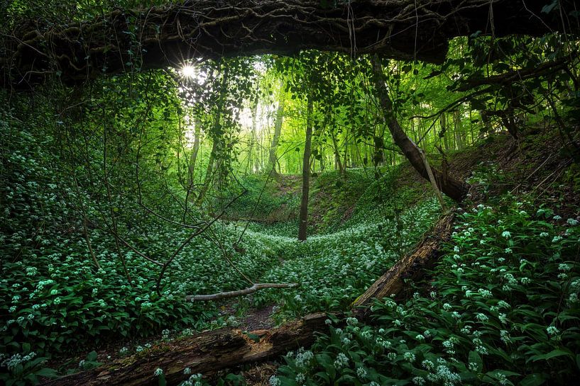 Willkommen im Paradies von Martin Podt