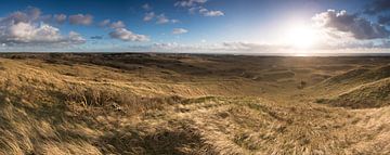 Duinlandschap panorama sur Fotografie Egmond