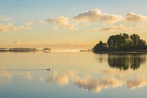 Nederlandse Reflecties van Pieter Struiksma