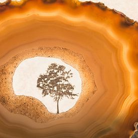 Eine Achatgeode und ein Baum in Orange und Braun von Lisette Rijkers