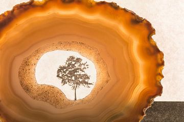 Macro foto van een agaat geode met bijzondere doorkijk van Lisette Rijkers