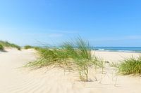 Summer at the beach with sand dunes and waves