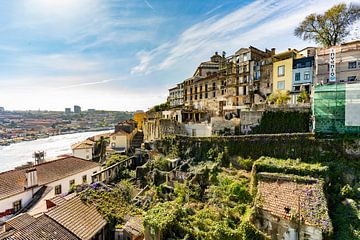 Reisreportage: Porto en wijngebied langs de Douro van Mark Litjens Art