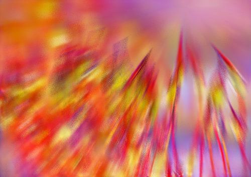 Explode! (Orange Explosion)