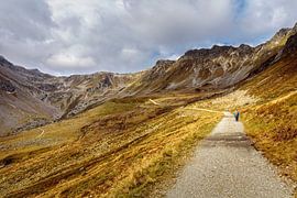 Schafberg Gargellen by Rob Boon