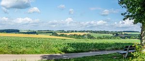 Panoramische Umgebung Simple Field