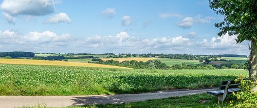 Environnement panoramique Simple Field
