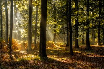 En als de zon dan komt van Jos Erkamp