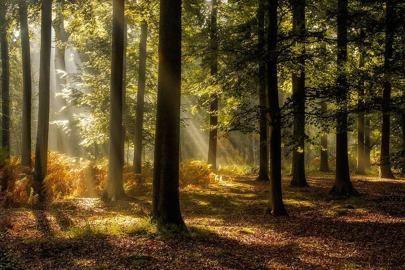 En als de zon dan komt van Jos Erkamp
