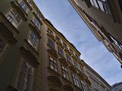 Old town of Vienna, Austria by Timon Schneider thumbnail
