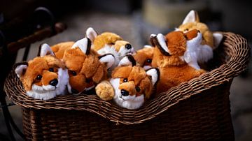 Pluche vossen in een mand