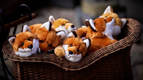 Plush foxes in a basket