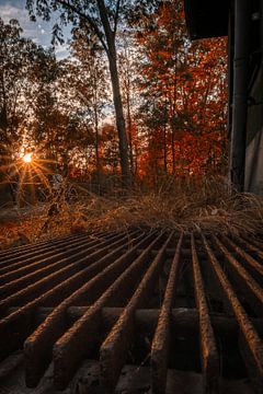 Sonnenstern auf Gitter von Marc-Sven Kirsch