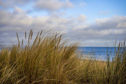 A beautiful day at the beach on Rügen