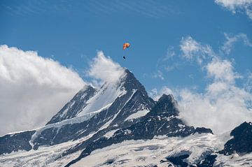 Paraglider boven de Schreckhorn, Zwitserland van Mirjam Dolstra