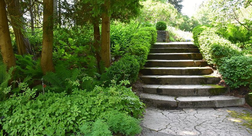 Ein Gartenweg im Sommer von Claude Laprise