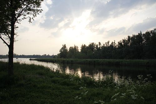Het begin van schemer langs de waterkant