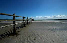 Darß by Heike Hultsch