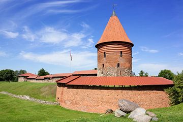 Het oude kasteel van Kaunas II - Litouwen van Gisela Scheffbuch