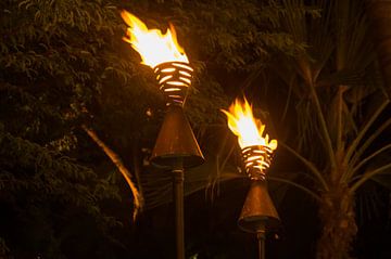 polynesian torches by Andrea Ooms