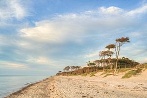 Plage ouest de Darßer sur Michael Valjak